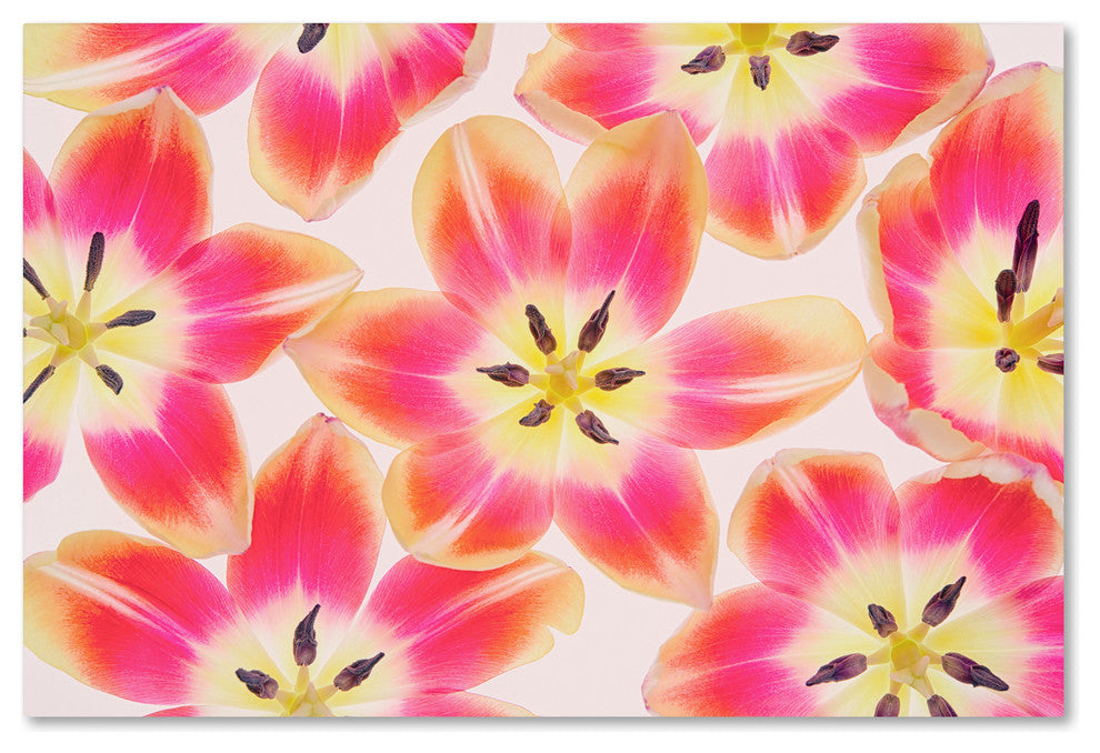 Cora Niele ''Yellow and Red Tulips'' Canvas Art