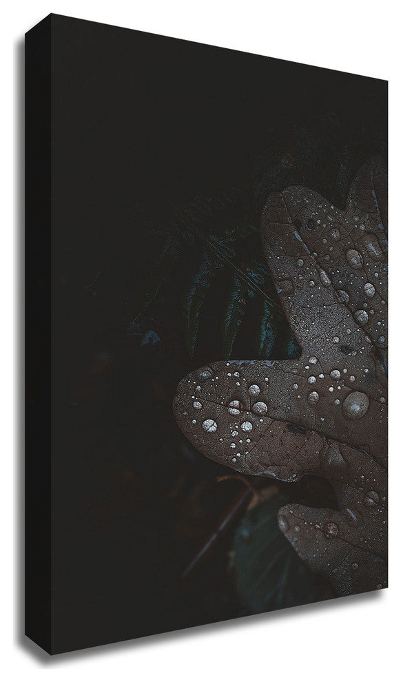 Secret 5 by Design Fabrikken, Print on Canvas, 20"x28"