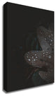 Secret 5 by Design Fabrikken, Print on Canvas, 20"x28"