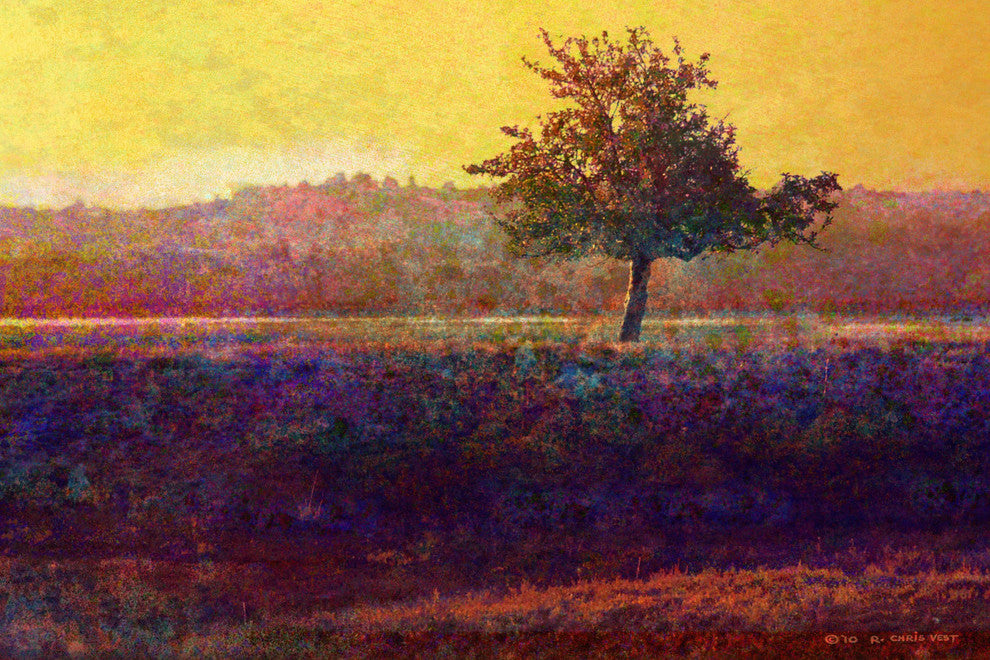 "Lone Tree Sunset" Painting Print on Canvas by Chris Vest