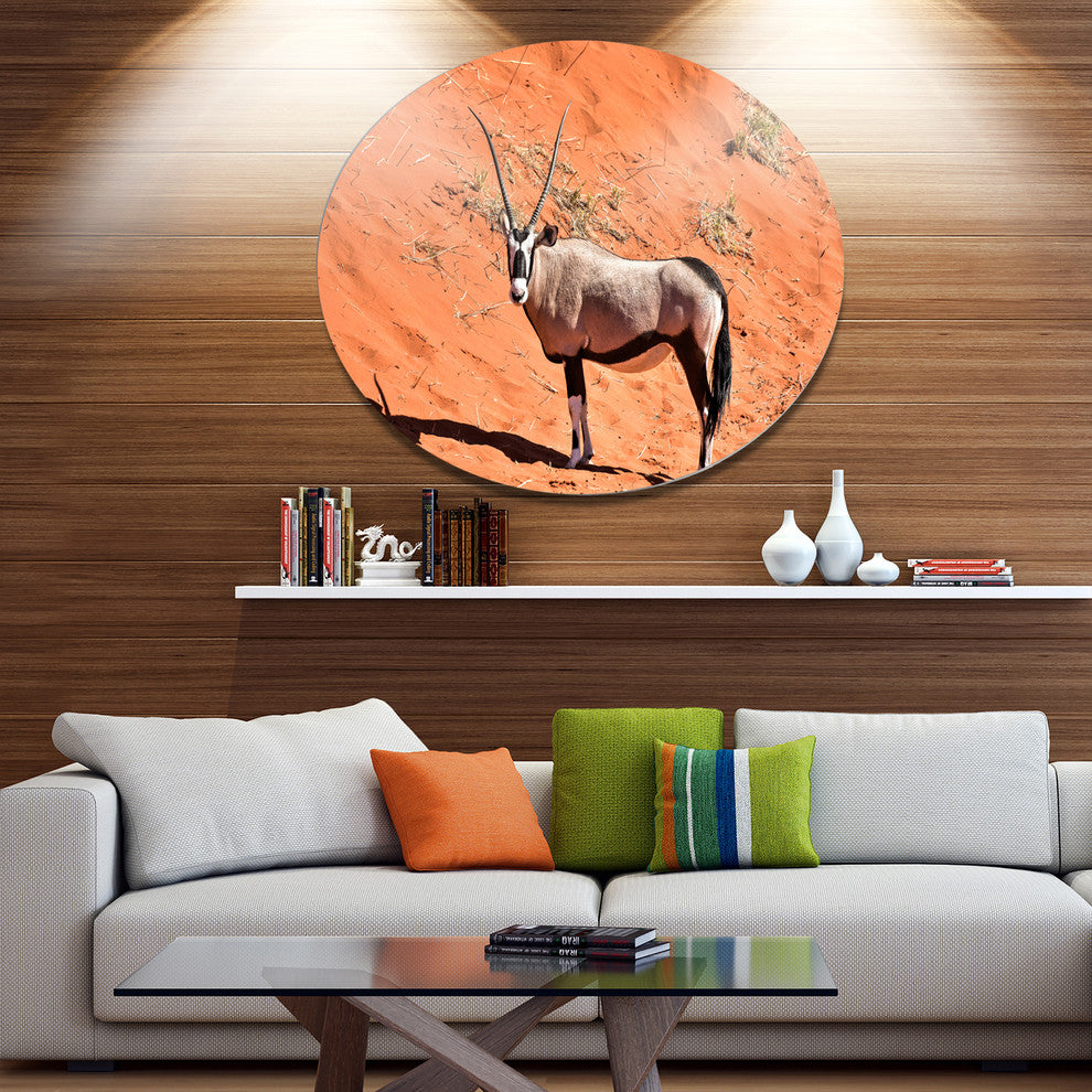 Oryx In Bright Namib Desert, Animal Disc Metal Wall Art, 11"
