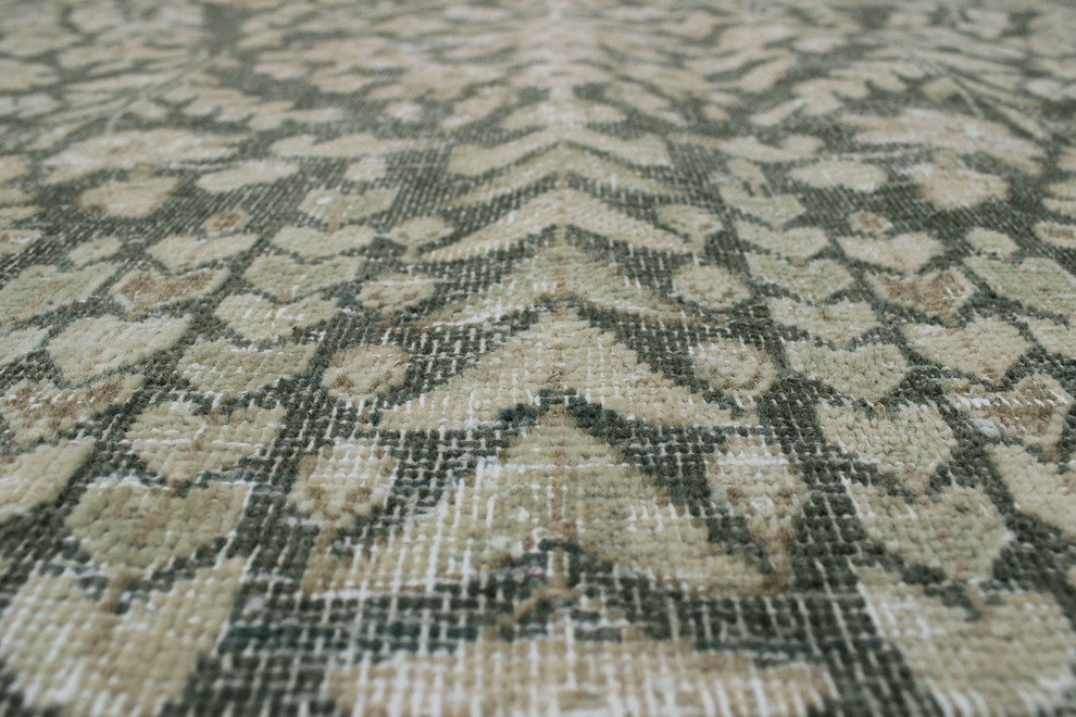 Pak-Persian Abusan Gray Rug 9''8"x12''11"
