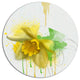 Yellow Narcissus Flower Watercolor, Floral Disc Metal Wall Art, 36"