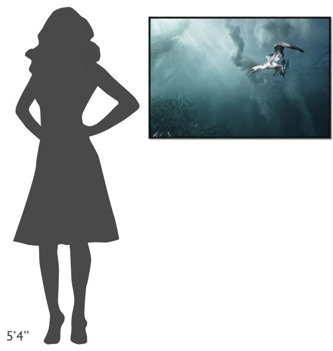 "Plunge Diver" Framed Canvas Giclee by Alexander Safonov, 37x25"