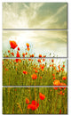 Red Poppy Flowers in Green Field, Floral Canvas Art Print, 28"x48", 4 Panels