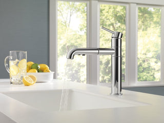 Delta Trinsic Single Handle Pull-Out Kitchen Faucet, Chrome, 4159-DST