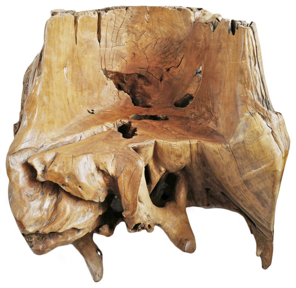 Free Form Burl Wood Root Chair