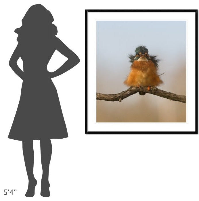"Against Wind" Framed Digital Print by Cheng Chang, 40x44"