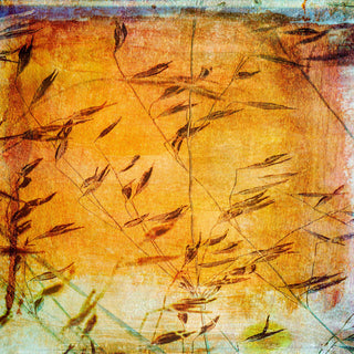 "Euphony I" Print on Canvas by Sia Aryai