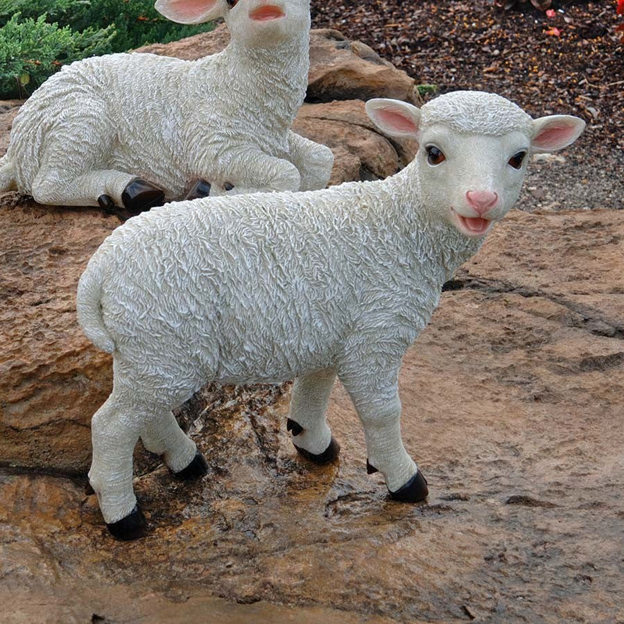 Standing Yorkshire Lamb