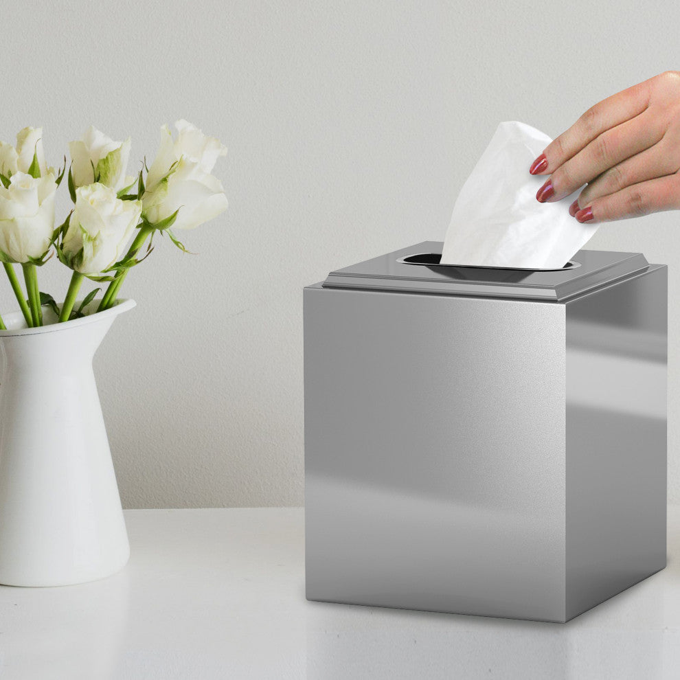 nu steel Stainless Steel Boutique Tissue Holder