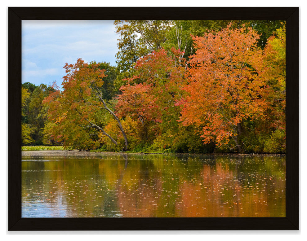 Autumn Tree Line Rural Landscape Framed Photo Paper Wall Art Prints, Black, 16" X 20"