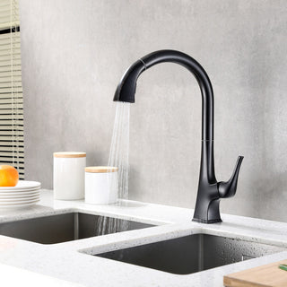 Luxier KTS20-T Single-Handle Pull-Down Sprayer Kitchen Faucet, Oil Rubbed Bronze
