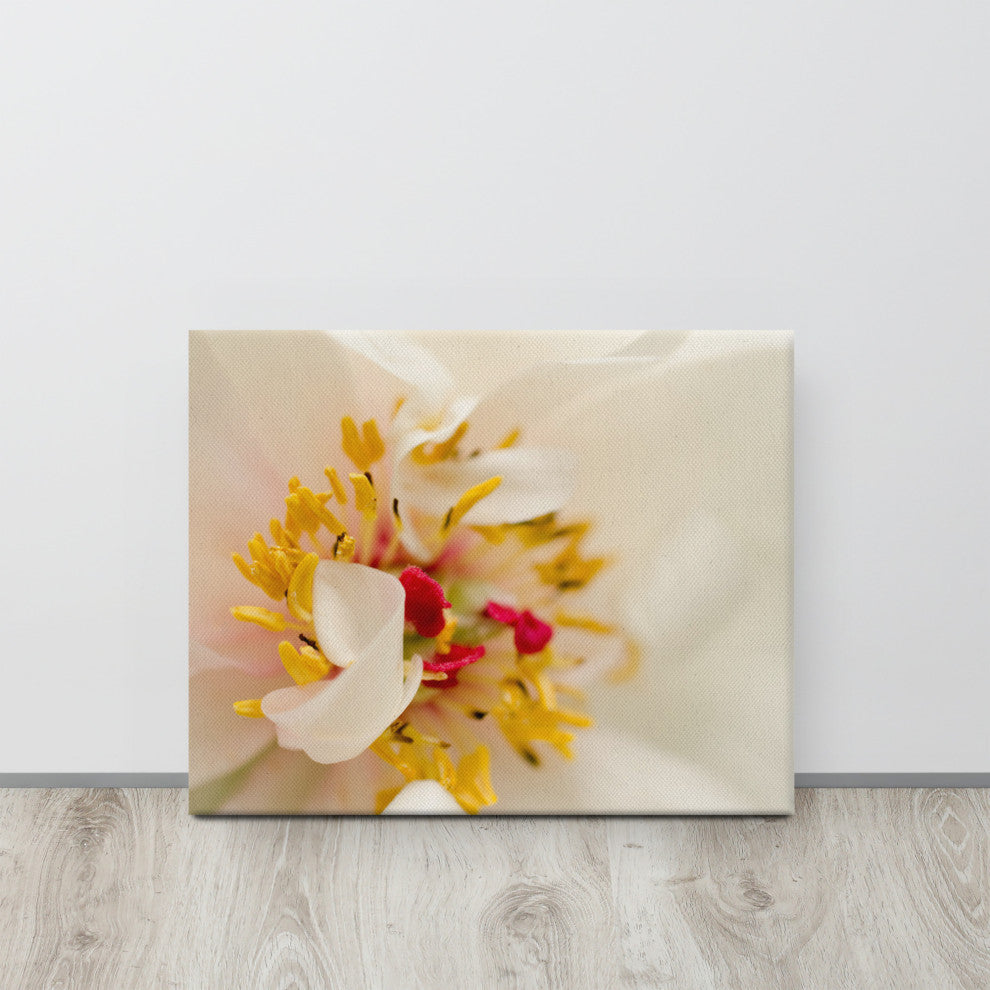 Eye of Peony Floral Nature Photography Canvas Wall Art Print, 16" X 20"
