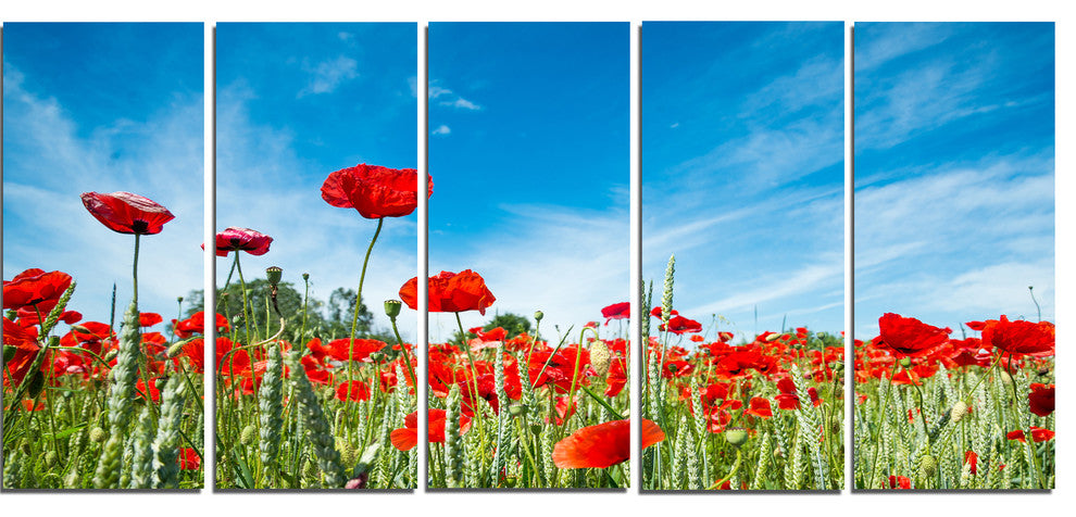 Red Poppy Garden under Clear Sky, Floral Canvas Art Print, 60"x28", 5 Panels