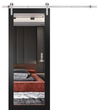 Barn Door 30 x 96, Lucia 1299 Matte Black & Mirror, Silver 6.6' Rail