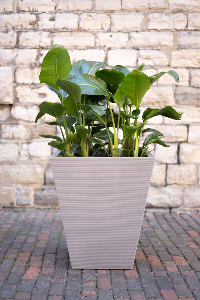 Pro Series Linear Grooved Planter, 30", Gray