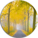 Misty Road In Yellow Autumn Forest, Landscape Disc Metal Artwork, 11"