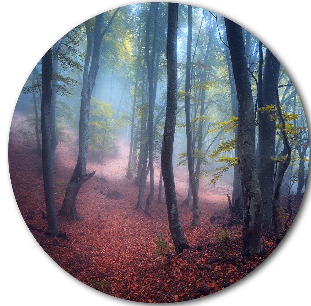 Mysterious Fairytale Green Wood, Landscape Disc Metal Wall Art, 11"