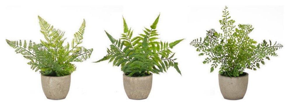Potted Fern, 3-Piece Set, 9.5"H Plastic