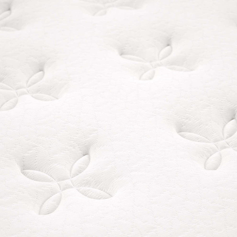 Jenna 8" Queen Innerspring Mattress MOD-6135-WHI