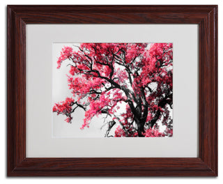 'Glowing Tones' Matted Framed Canvas Art by Philippe Sainte-Laudy