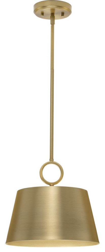 Parkhurst Collection One-Light Brushed Bronze Metal Pendant Light