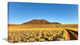 Namibrand Desert Landscape, Landscape Canvas Art Print, 60"x28"