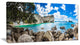 "Nestor Notabilis Kea Panorama" Extra Large Seashore Wall Art, 1 Panel, 60"x28"