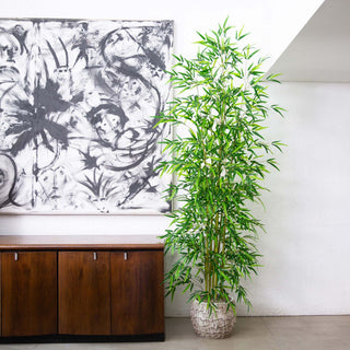 Shown in a real room setting with furniture and artwork; lifestyle context.