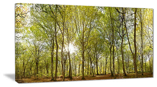 "Green Forest Panoramic View" Canvas Print