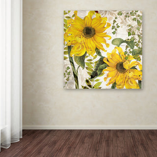 Color Bakery 'Carina I' Canvas Art, 35x35