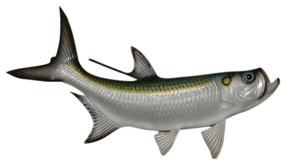 Replica Tarpon Saltwater Game Ocean Fish Wall Decor 28 inch