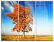 "Colorful Lonely Fall Tree" Photo Metal Wall Art, 3 Panels, 36"x28"