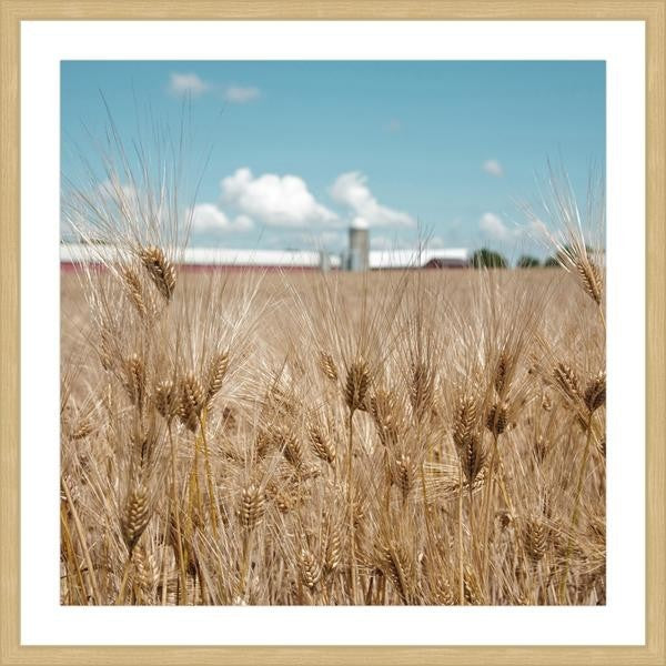 "Waves of Grain" Framed Painting Print, 24"x24"