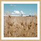 "Waves of Grain" Framed Painting Print, 24"x24"
