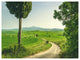 Tuscan Place in Rural Area, Landscape Canvas Art Print, 40"x30"