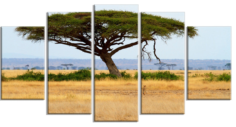 Acadia Tree and Cheetah in Africa, Landscape Canvas Art, 60"x32", 5 Panels