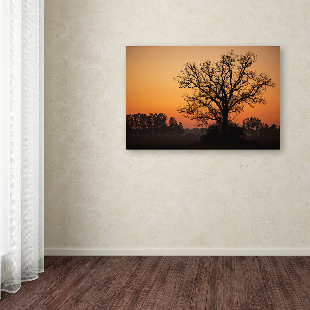 Jason Shaffer ''Vermilion'' Canvas Art, 24x16