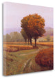 "Charmony" By Kent Lovelace, Giclee Print on Gallery Wrap Canvas, Ready to Hang