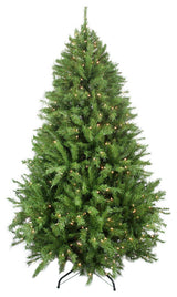 Northern Frasier Tree 1628 Tips 600 Clear Lights, 7.5'x57"