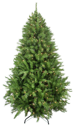 Northern Frasier Tree 1628 Tips 600 Clear Lights, 7.5'x57"