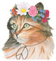 "Cattitude I" Digital Paper Print by Myles Sullivan, 20"x20"