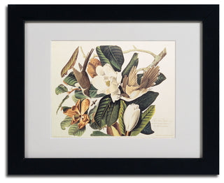 'Black-Billed Cuckoo' Matted Framed Canvas Art by John James Audubon