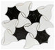 Neromarquina and Dolomiti Polished Windmill Marble Mosaic