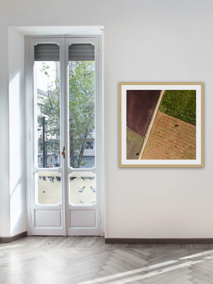 "Farm Land" Framed Print by Karolis Janulis