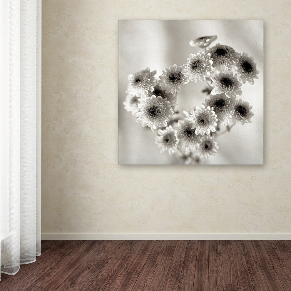 Alan Blaustein 'Florison 58' Canvas Art, 24x24