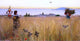 Charles Caryl Coleman Women in the Wheat Fields Anacapri Gallery Wrapped Canvas
