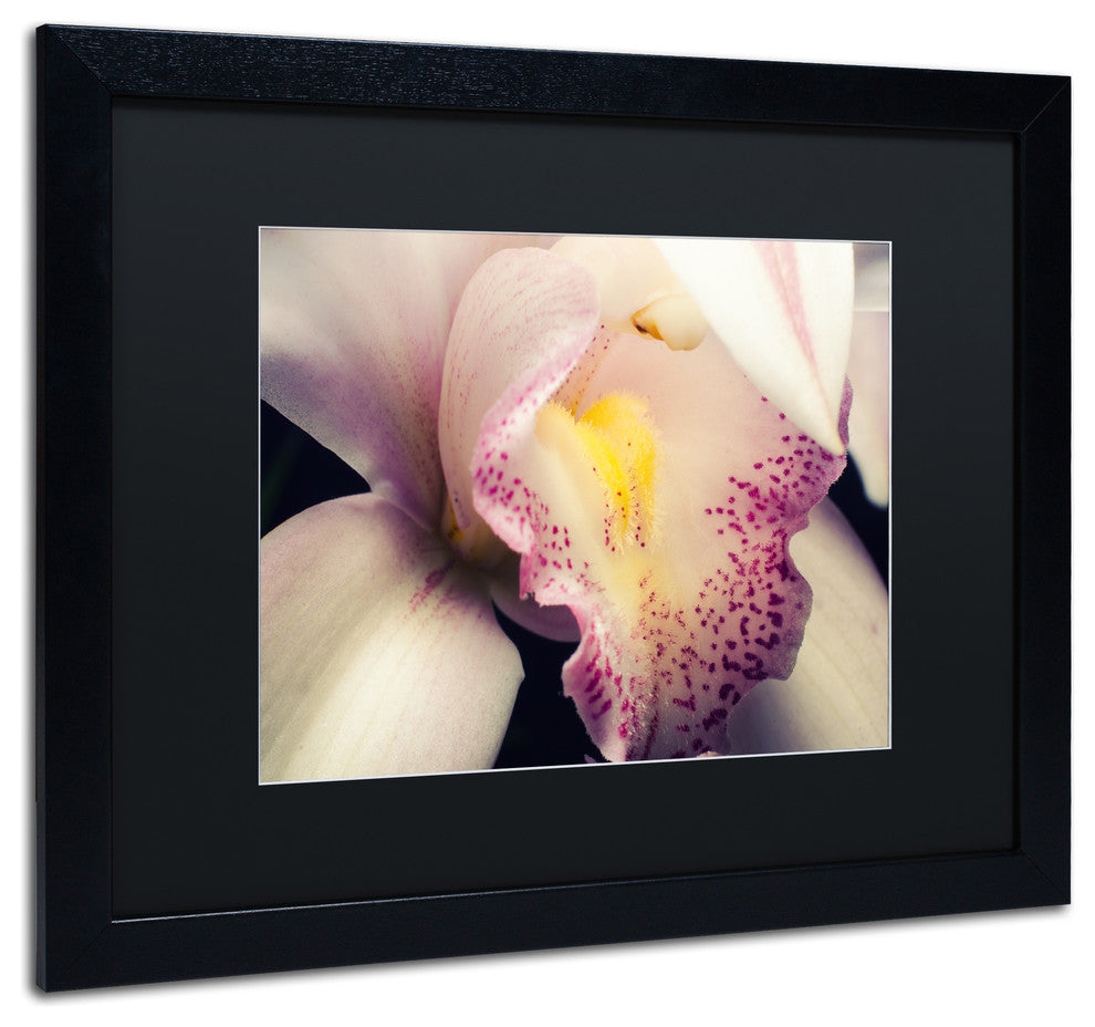 PIPA Fine Art 'Close-Up of Orchid' Matted Framed Art, 20x16