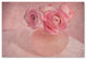 Cora Niele ''Pink Ranunculus Bouquet'' Canvas Art